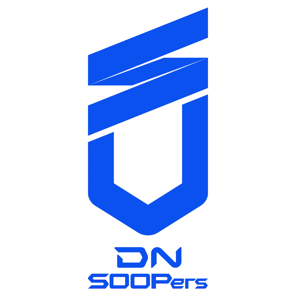 DNS logo
